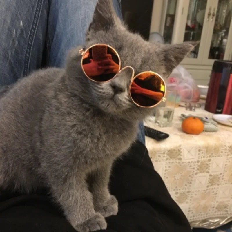 Non-Slip Pet Sunglasses for Cats & Small Dogs
