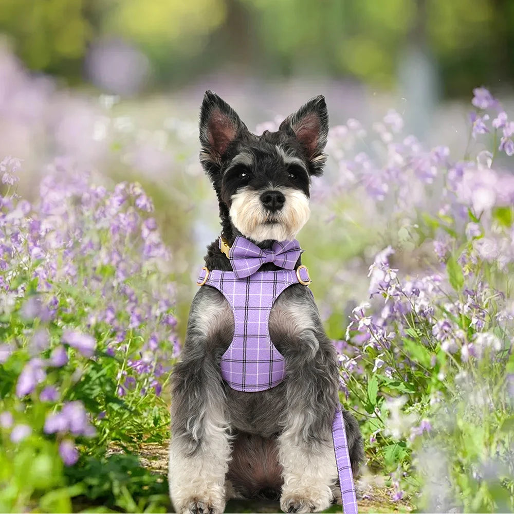 Classic Plaid Dog Collar, Harness & Leash Set with Bowtie