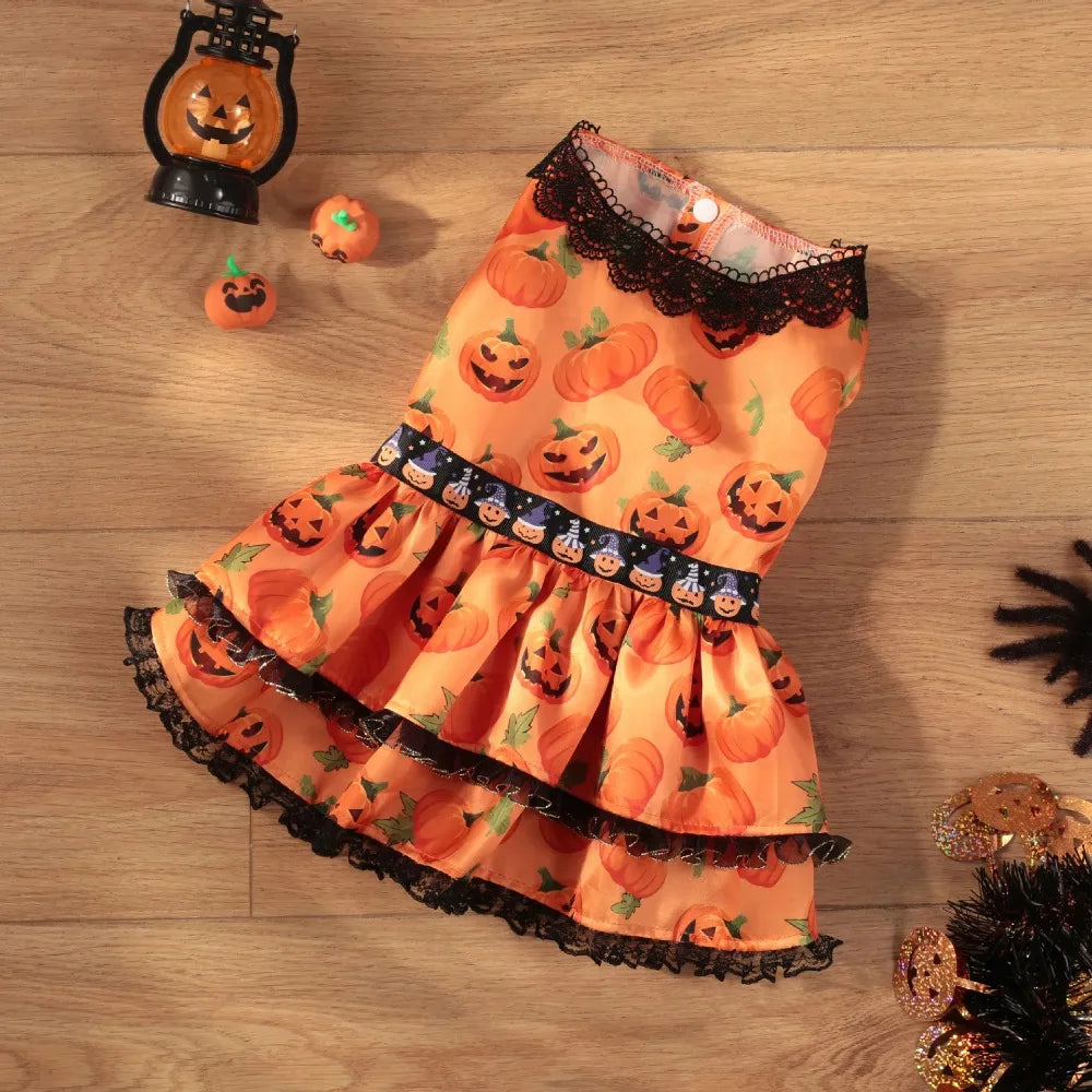 Pumpkin Lace Dog Dress for Small Dogs