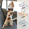 A dog wearing an orange traction rope safety harness is shown in a car interior with various colored harnesses displayed near