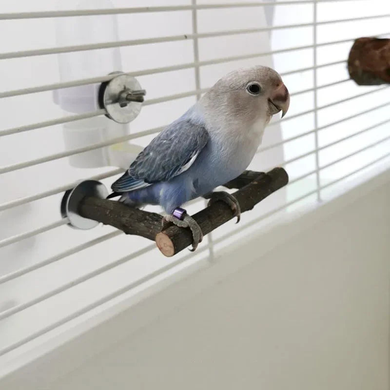 Una pequeña paloma con plumas azules y grises posada en una rama de madera natural dentro de una jaula.