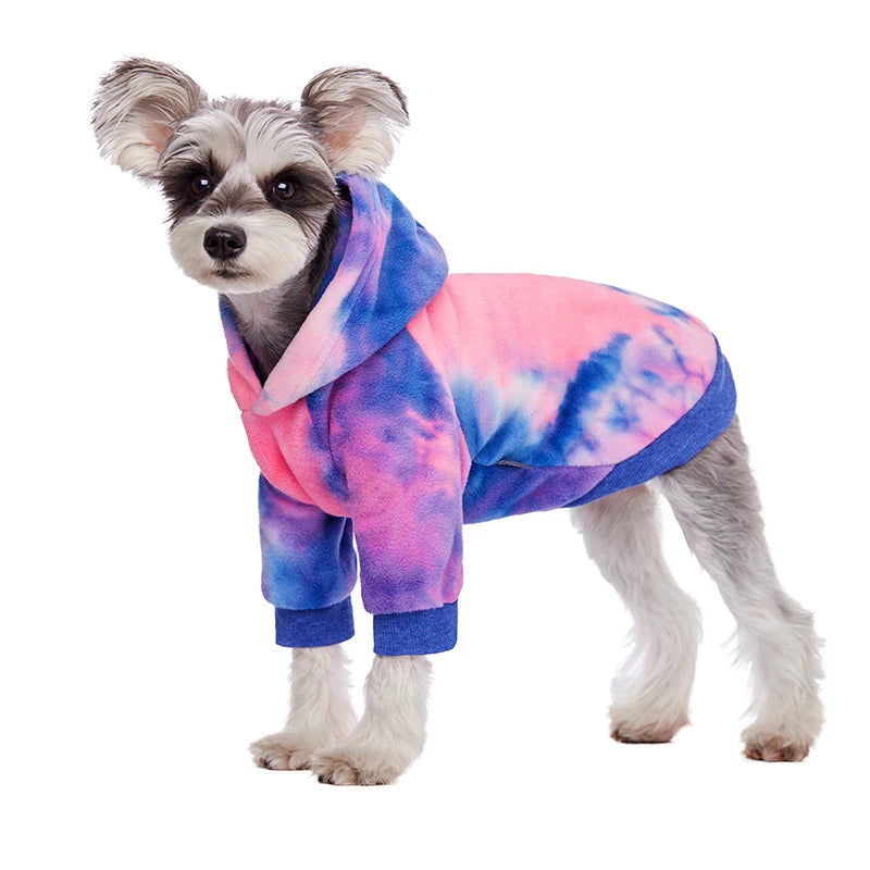 Un petit chien portant un sweat à capuche en polaire tie-dye rose, bleu et violet.