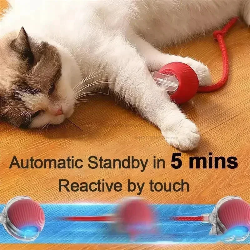 Interactive Automatic Rolling Cat Toy with Tail
