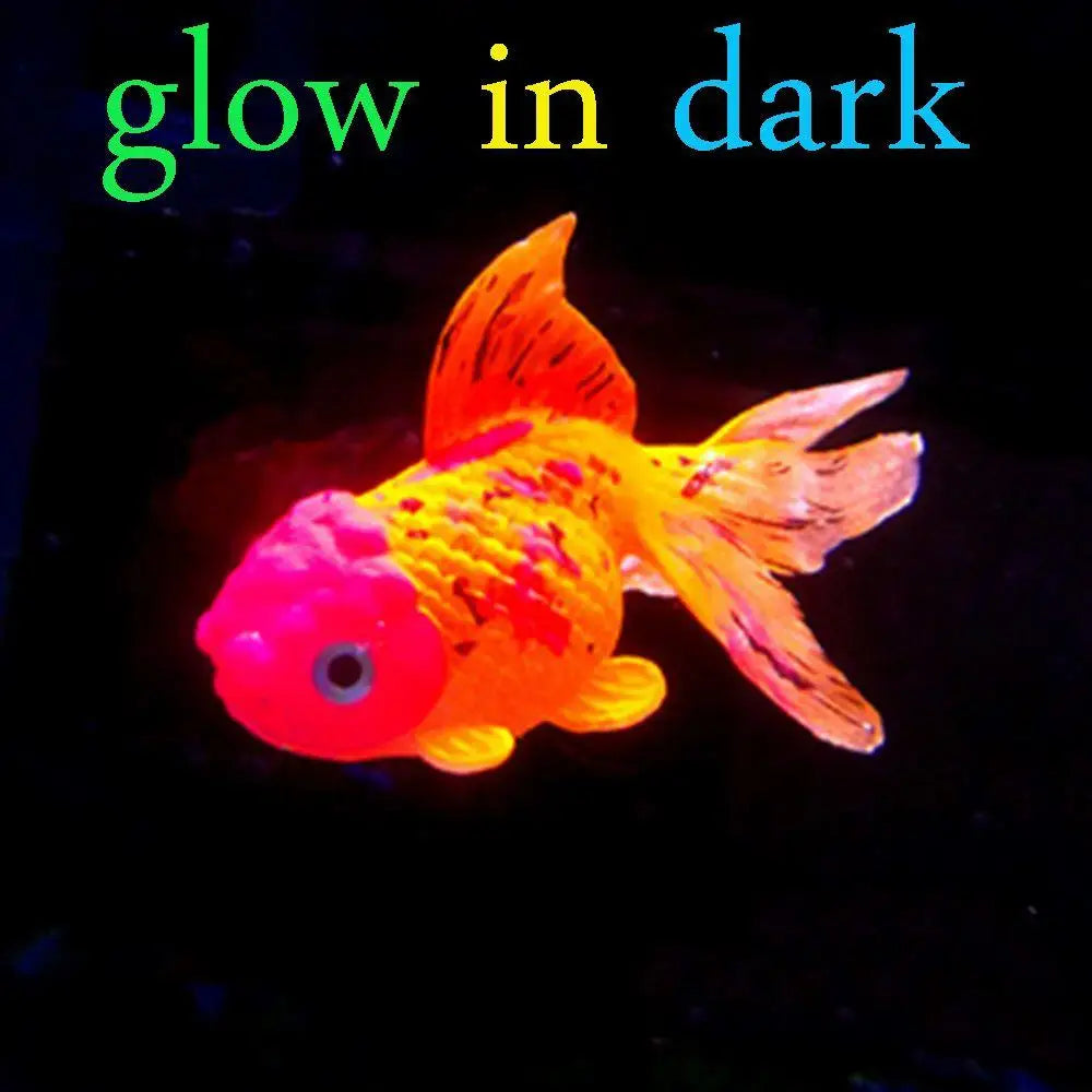 Ein leuchtend orangefarbener, leuchtkraftvoller Goldfisch schwimmt in der Dunkelheit.
