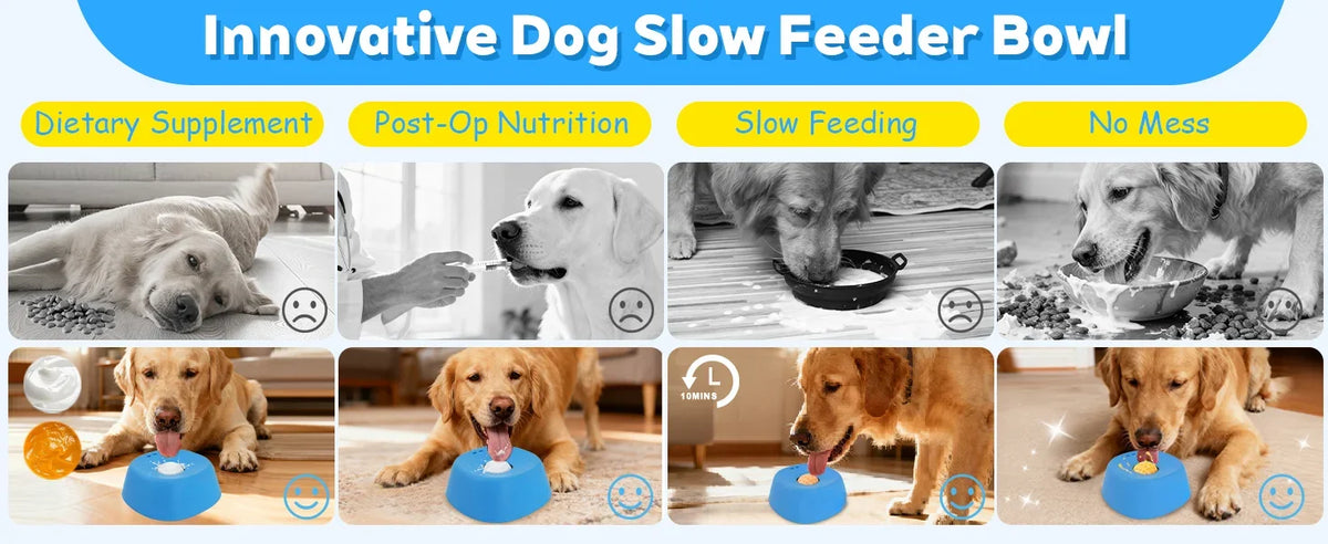 Innovative dog slow feeder bowl with various liquid and solid treats for post-op nutrition and slow feeding