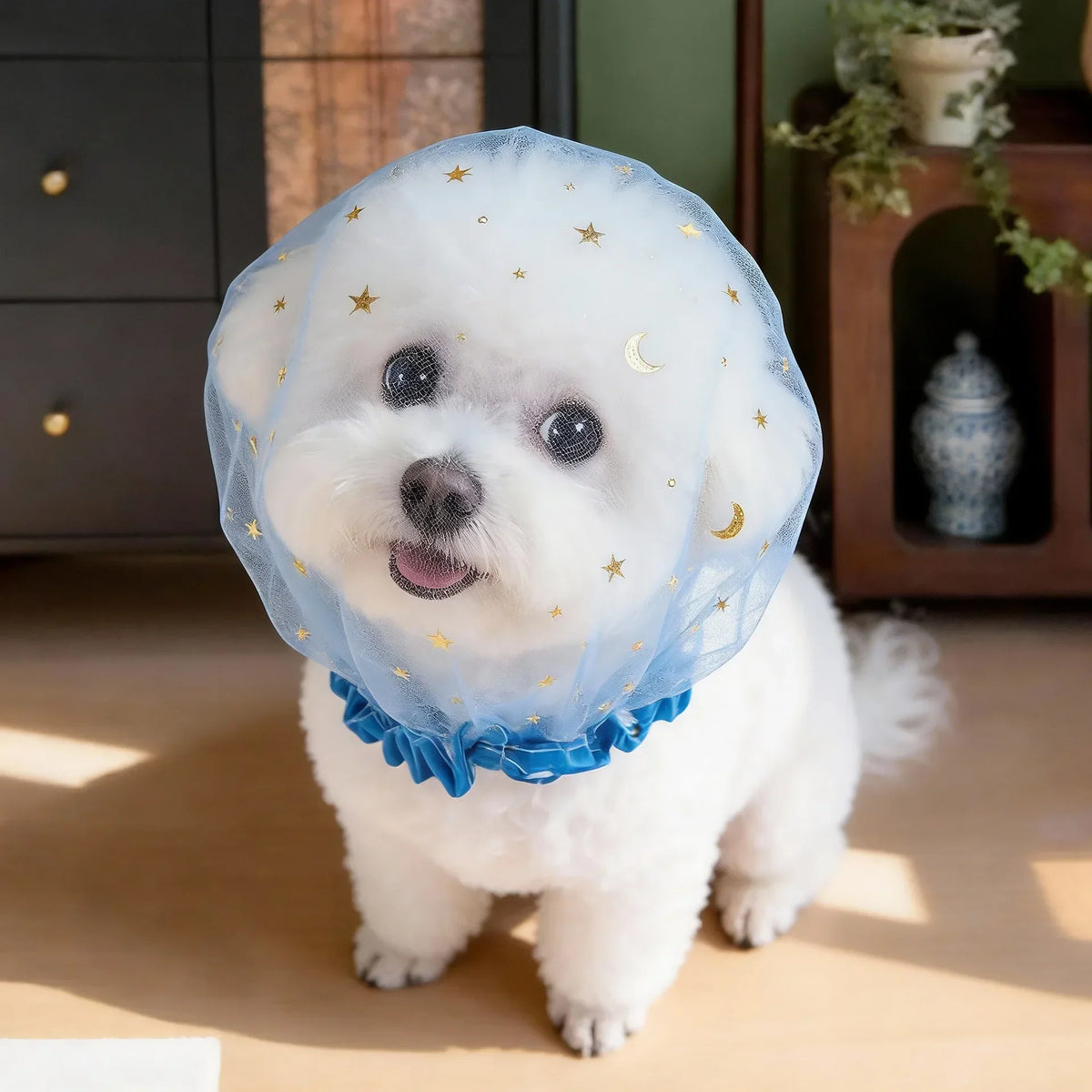 Breathable Star Tulle Dog Muzzle Cover for Outdoor Walks
