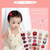 Adorable Flower Snap Clips for Baby Girls (Set of 6)