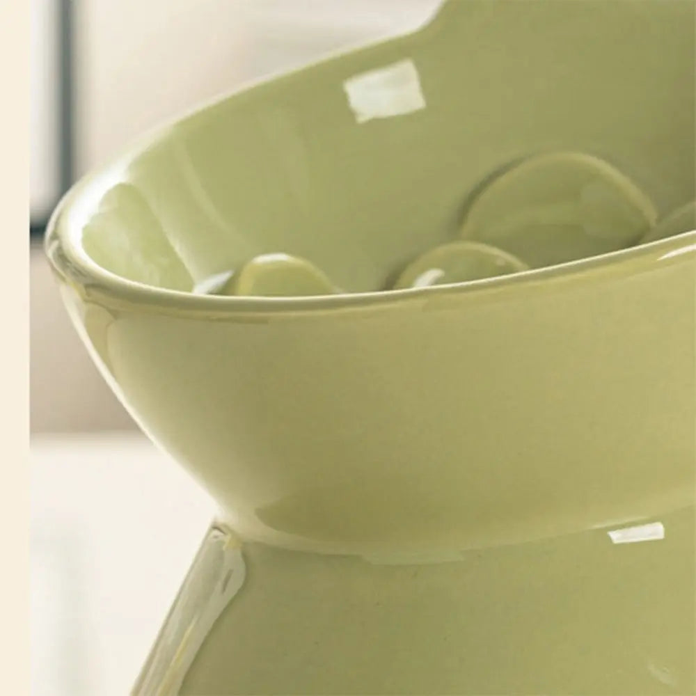 A close-up view of a light green ceramic pet food bowl with a raised, slanted design.