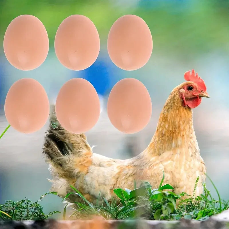 A brown hen stands near several smooth, pink plastic chicken eggs in a natural outdoor setting.