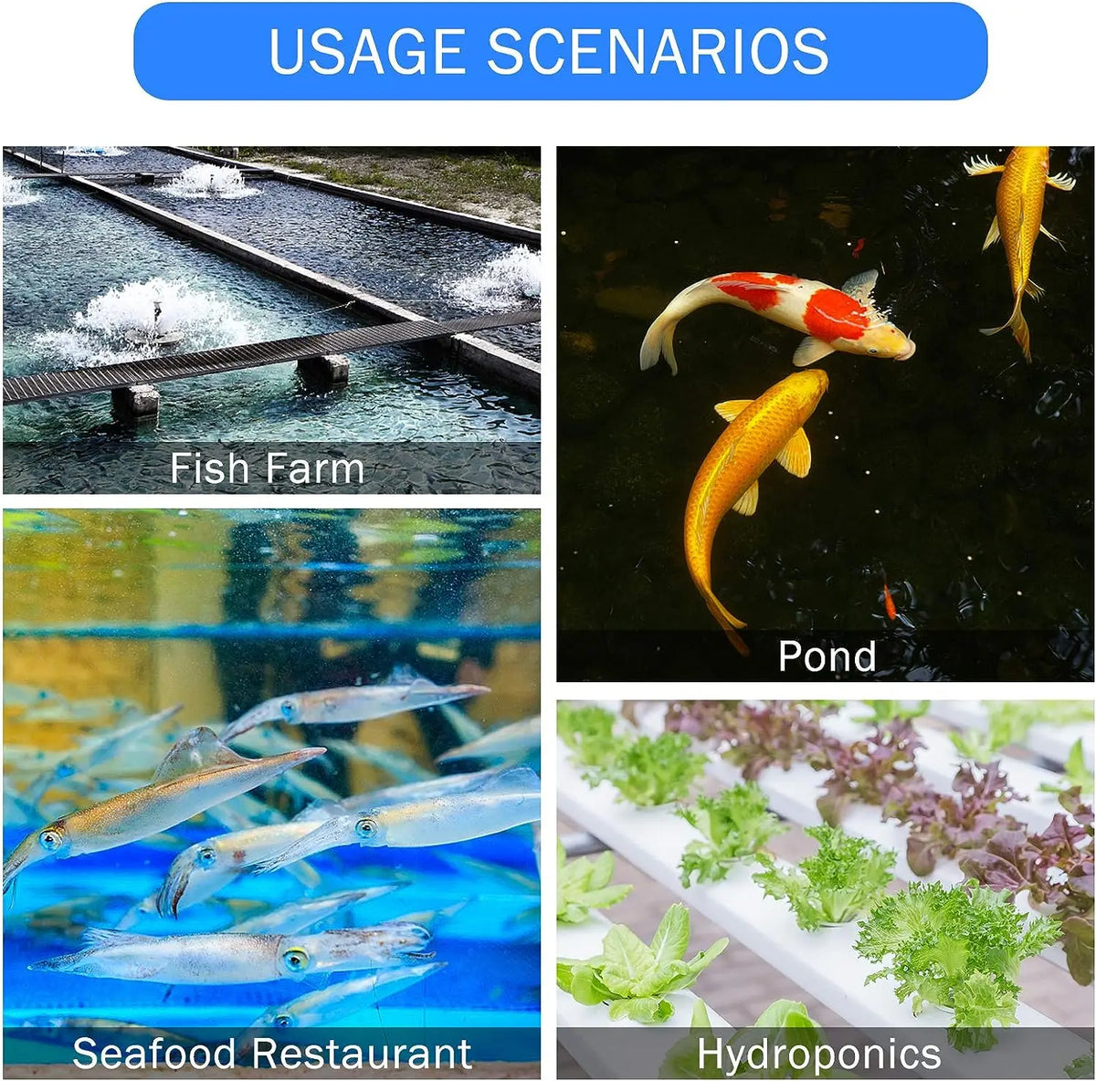 High-Output Aquarium Air Pump with 6-Way Splitter