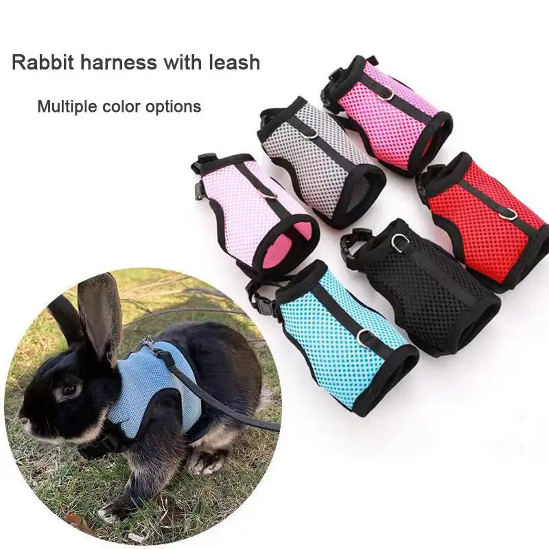 Chaleco Transportador Transpirable para Mascotas con Arnés y Correa