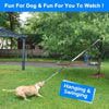 Interactive Bungee Tug Toy for Dogs