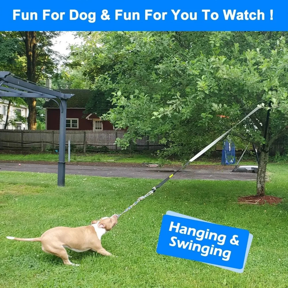 Interactive Bungee Tug Toy for Dogs