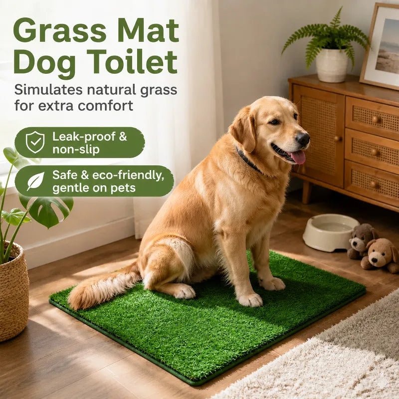 A golden retriever sits on a green grass mat dog toilet training mat indoors.