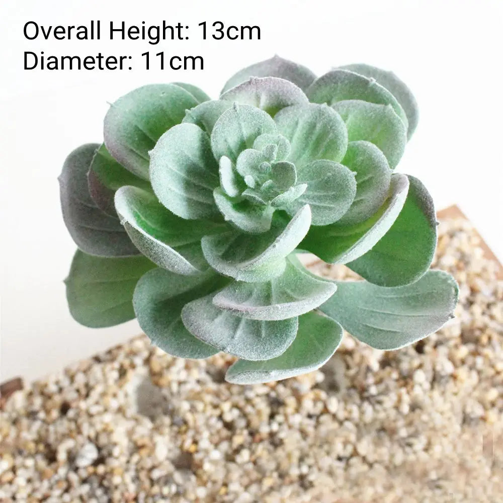 A spherical, pale green succulent plant with thick leaves is displayed on a textured surface.