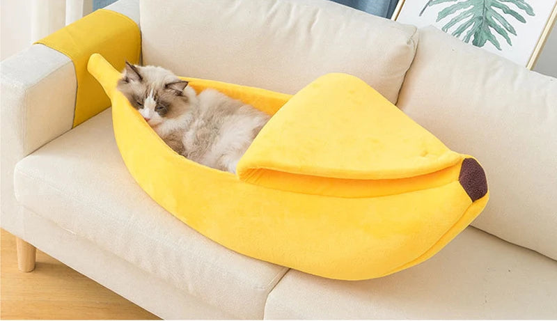 Un chaton gris et duveteux se repose dans un lit pour animaux jaune banane sur un canapé clair.