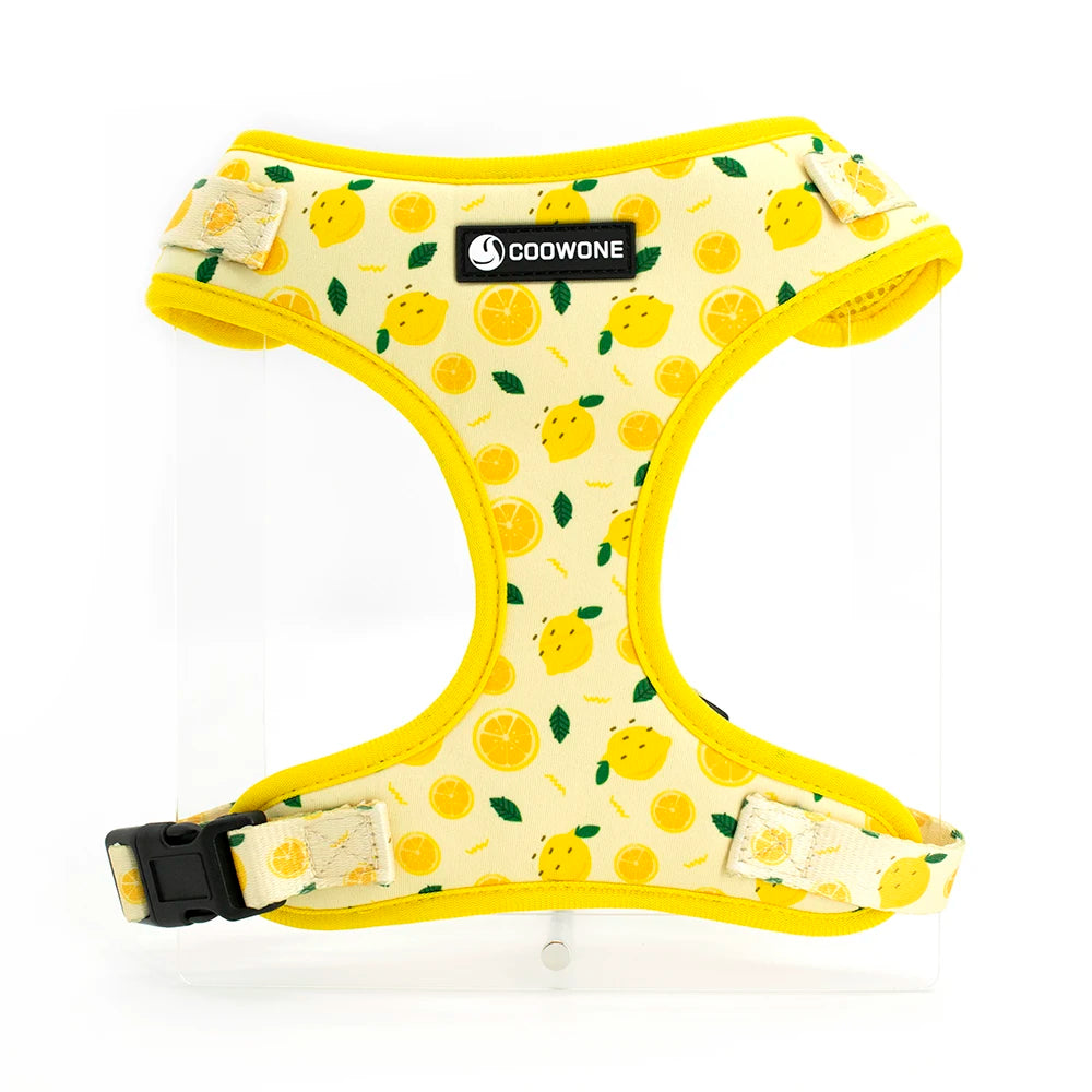 Yellow dog collar with a lemon print pattern and soft neoprene padding.