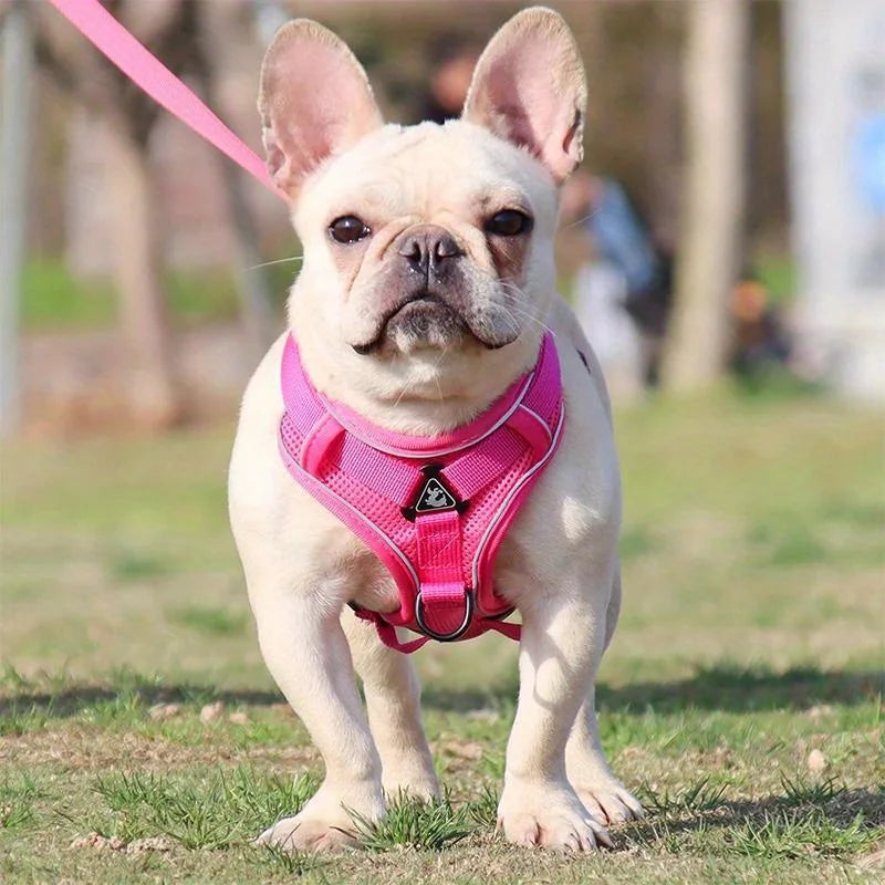 Adjustable No-Pull Dog Harness with Reflective Leash Set