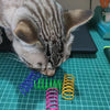Jouets Ressort Colorés pour Chats - Ensemble de Jeu Rebondissant et Durable
