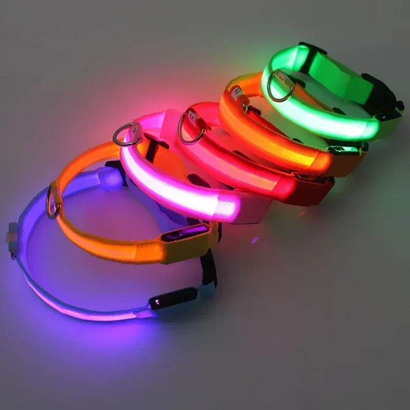 Wiederaufladbare LED-Hundehalsband für Nachtsicherheit