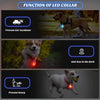 Waterproof LED Dog Collar with Rechargeable Light for Night Walks