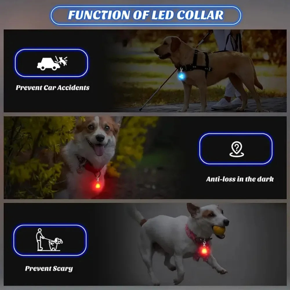 Waterproof LED Dog Collar with Rechargeable Light for Night Walks