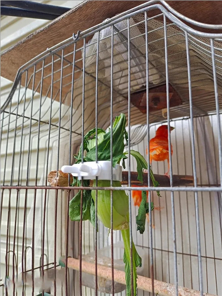 مشبك حافظة طعام للطيور الصغيرة والببغاوات