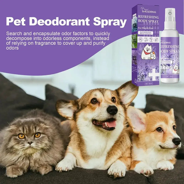 Lavender Oil Dog Deodorizer Spray