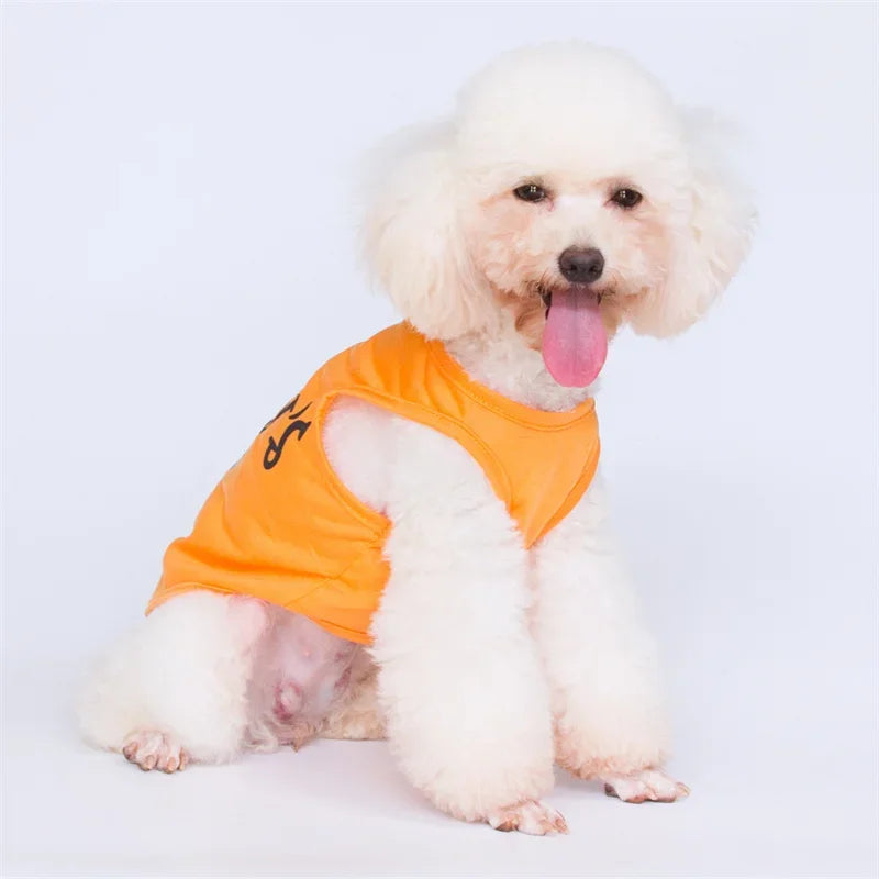 A fluffy white dog wearing an orange letter print sleeveless vest.