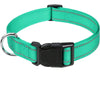 Decorative Nylon Dog Collar with Buckle Closure