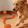 Interactive Automatic Rolling Dog Ball with Motion Activation