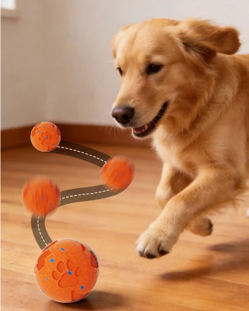 Interactive Automatic Rolling Dog Ball with Motion Activation