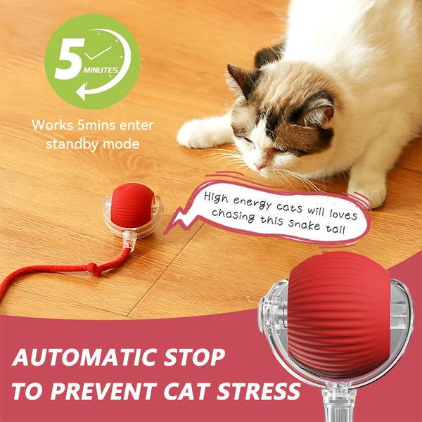 A red automatic stop device for a cat teaser ball is shown next to a kitten on a wooden floor.