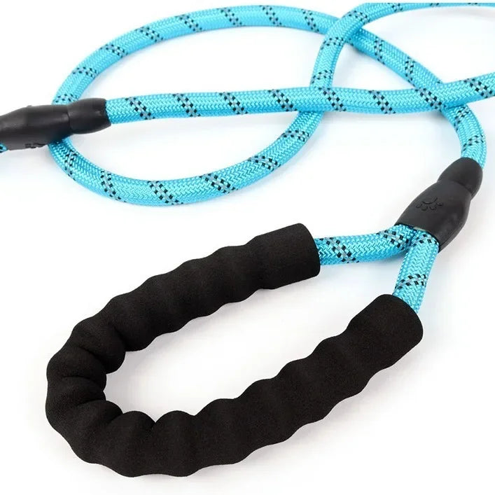 A bright blue reflective nylon dog leash with a padded black handle and black clip.