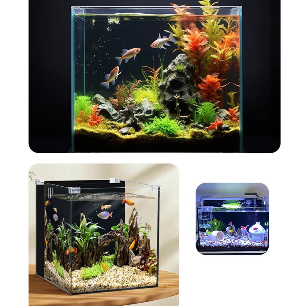 A clear glass aquarium featuring vibrant aquatic plants and fish, set against a dark background.