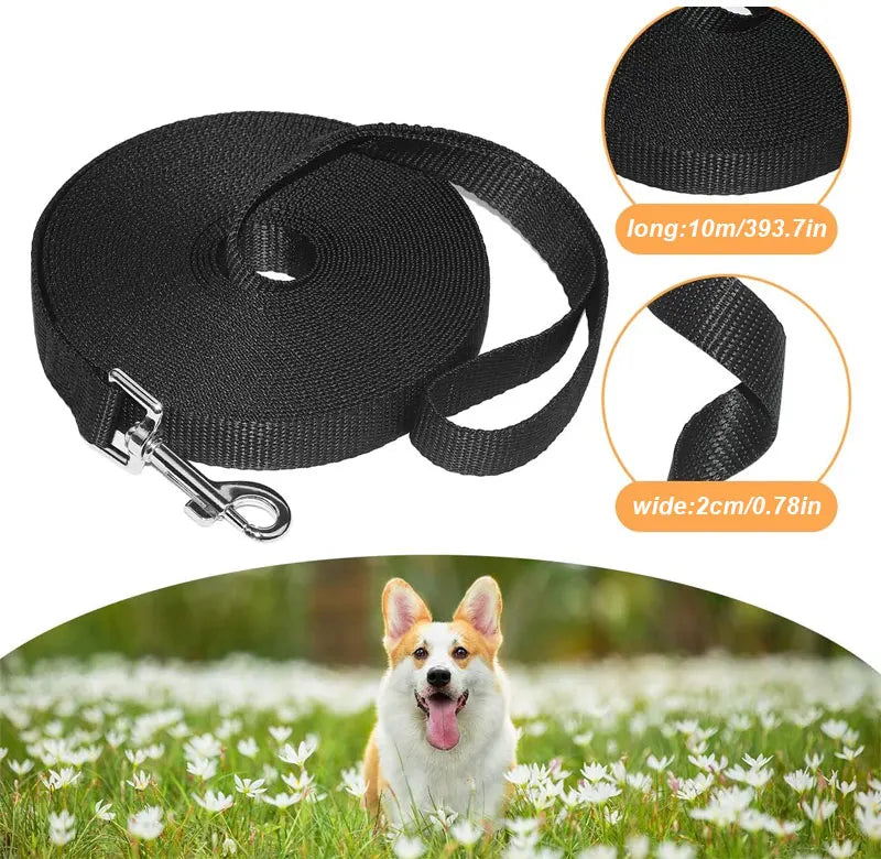 Black nylon dog training leash with a metal clip and a dog in a field of white flowers.