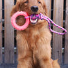 Supet Interactive Training Ring Toy for Dogs