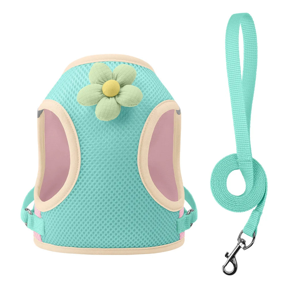 Light blue mesh dog harness with a flower-shaped cutout and matching teal leash