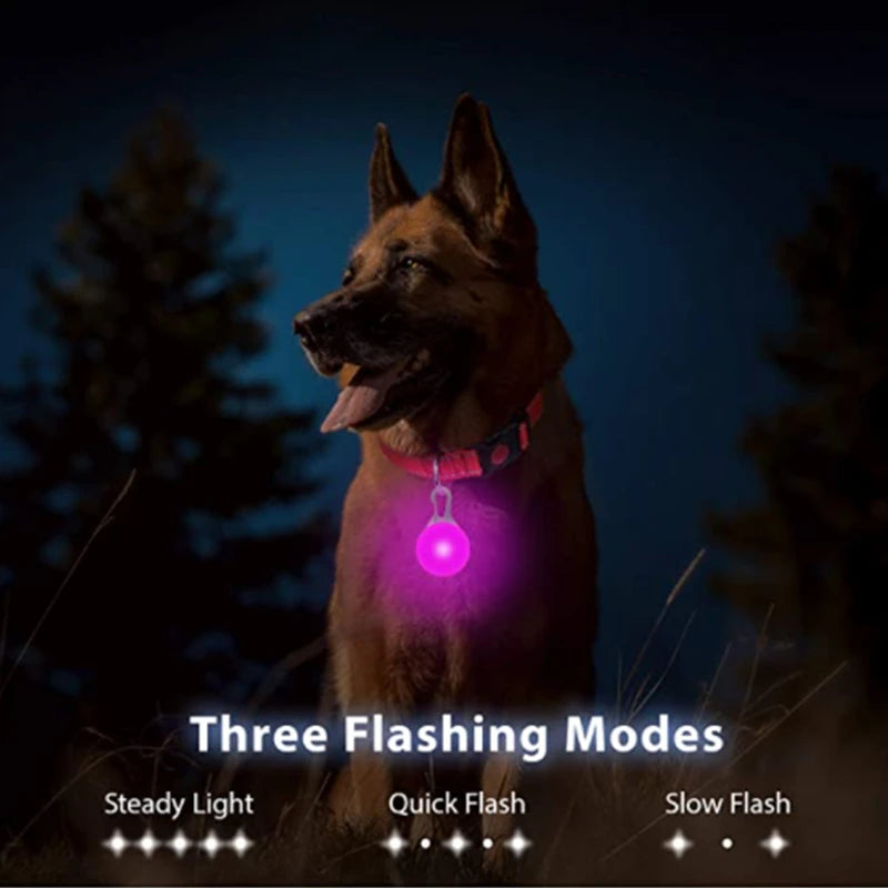 USB Charging Glowing Dog Collar with Pendant