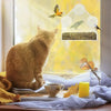 Window Bird Feeder with Suction Cups