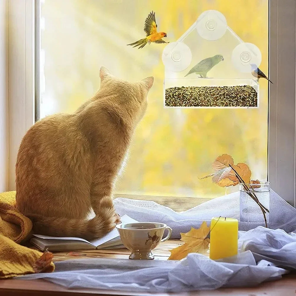 Window Bird Feeder with Suction Cups