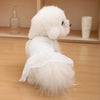 Vestido de Algodón a Rayas para Perro