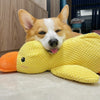 Large Duck Plush Squeaky Toy for Dogs