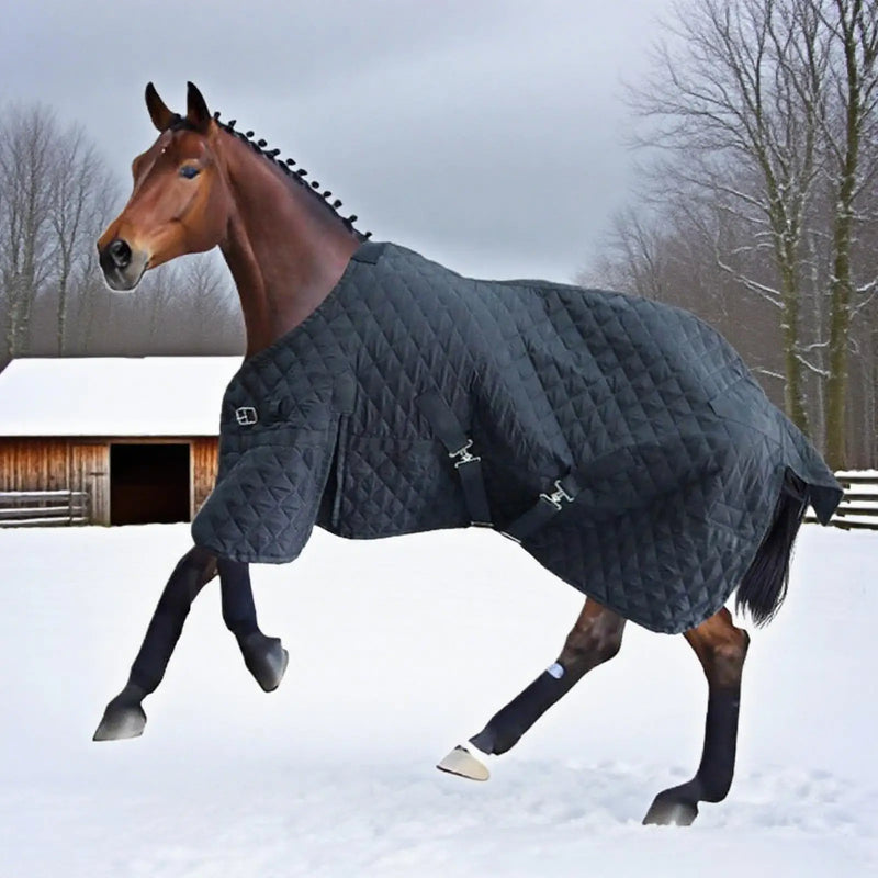 Manta Acolchada Ajustable para Transporte de Caballos