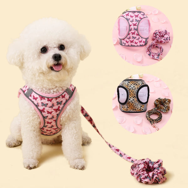 A white poodle wearing a pink patterned harness and leash set with pink accessories.
