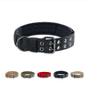 Black heavy-duty tactical dog collar with a silver buckle and padded comfort features shown alongside other colors.