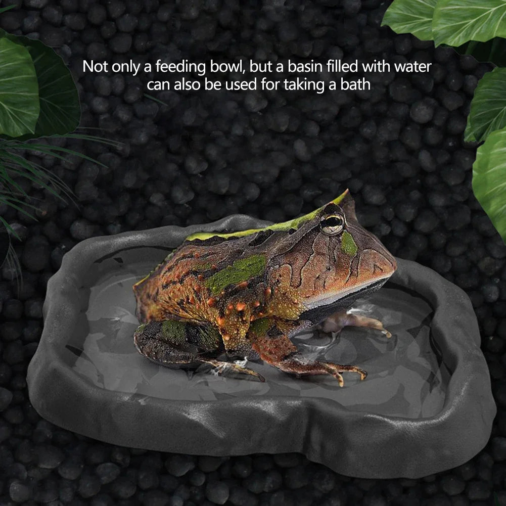 A natural rock reptile feeding and water dish holding a frog in water.