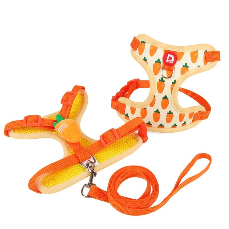 Strawberry Print Dog Harness and Leash Set