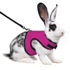 Un lapin blanc portant une laisse rose vif et une collerette noire.