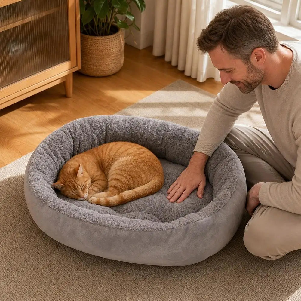 A man is gently petting an orange cat resting inside a plush, oval pet bed on a light-colored rug.
